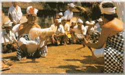 tajen tabuh rah bali